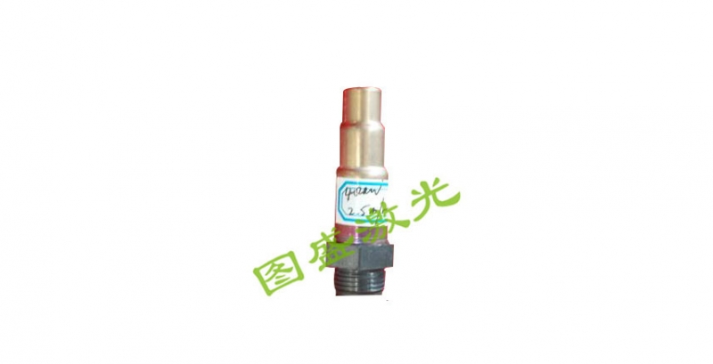 汽车氧传感器